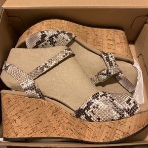 Clarks snakeskin wedges. Brand new in box!!